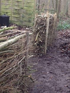 a pile of branches sitting next to a wooden fence