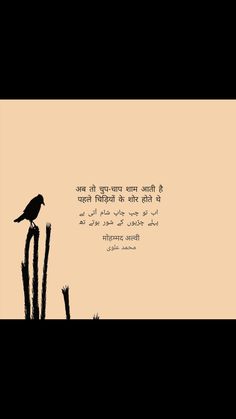 Allama Iqbal Quotes, Iqbal Quotes, Ahmed Faraz, Hindi Poems, Poetry Hindi, Hindi Poetry, Allama Iqbal