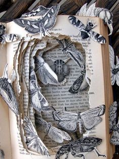 an open book with paper cut out of it and moths on the pages, sitting on top of a wooden table