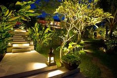 an outdoor garden with steps lit up at night