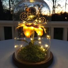 a glass clochet with lights and flowers in it on top of a table