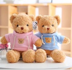 two brown teddy bears sitting next to each other