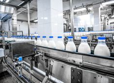 milk bottles are lined up on the assembly line