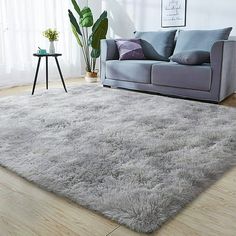 a living room with a gray couch and white rug