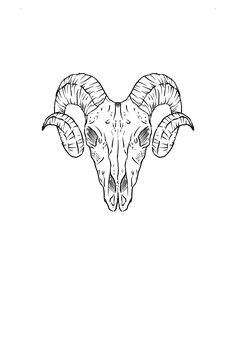 a ram's head with long horns and large curled horns