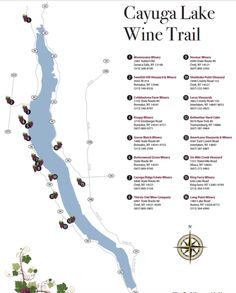 the map for cayuga lake wine trail, which is located on the side of a