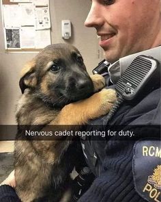 a police officer holding a puppy in his lap with the caption nervous cadet reporting for duty