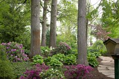 the garden is full of colorful flowers and trees