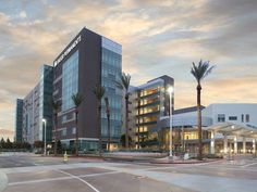 an office building with palm trees in the foreground and street lights on either side