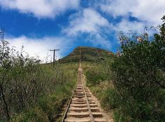 a set of stairs leading up to the top of a hill with trees on both sides