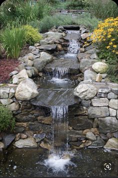 a small waterfall in the middle of a garden with rocks and plants around it, surrounded by yellow flowers