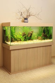 a fish tank with plants and rocks in it on top of a wooden shelf next to a wall