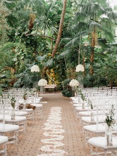 an outdoor ceremony setup with white chairs and floral centerpieces, surrounded by palm trees