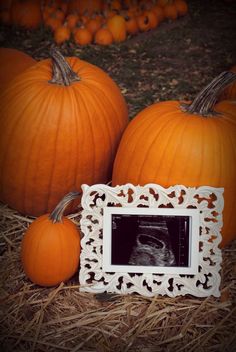 an old photo frame sitting next to pumpkins