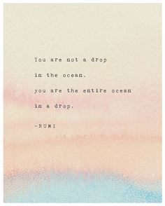 the words you are not a drop in the ocean, you are the entire ocean in a drop