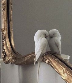 two white birds sitting on top of a mirror next to a gold framed mirror with an ornate frame