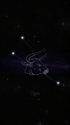 the zodiac sign taurus in the night sky