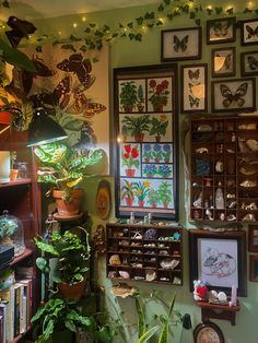 a room filled with lots of plants and framed pictures on the wall above each shelf