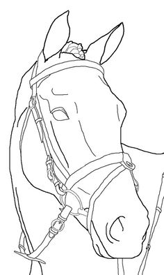 a horse's head with bridle on it, drawn in black and white