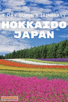 the words 4 day summer itinerary hokkado japan in front of colorful flowers