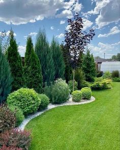 a lush green lawn surrounded by trees and shrubs