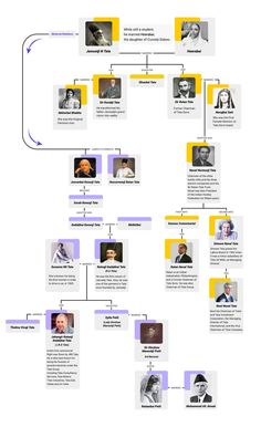 Tata Family Tree and Institutions Named after Tata Jamsetji Tata, Tree Infographic, Tata Family, Successful Man, Ratan Tata, Saints Of India, Colorful Art Prints, Technical Writing, Learn Facts