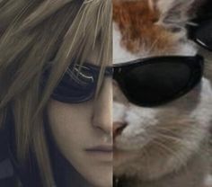 two different images of a woman with sunglasses and a cat in front of her face