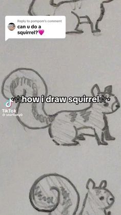 two drawings of squirrels with the caption'how i draw squirrel? '