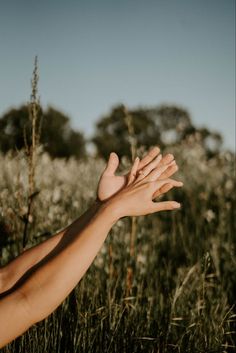 two hands reaching out to touch each other in the middle of tall grass and flowers