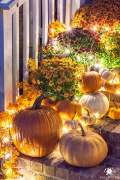 pumpkins and gourds are lit up on the steps