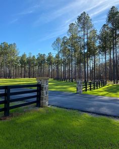 a black gate in the middle of a grassy area with trees on both sides and a paved road leading to it