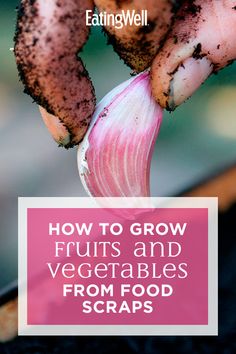 an image of how to grow fruits and vegetables from food scraps with text overlay