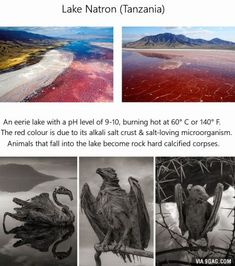 an article about lake natron tanzana