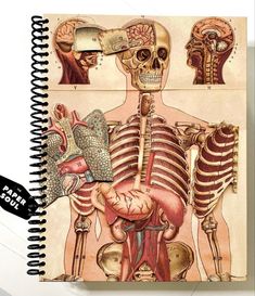 a spiral notebook with an illustration of the human body and organs on it's cover