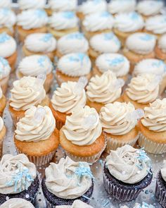 cupcakes with frosting and blue bows on them are displayed for sale at a bakery