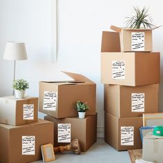 several boxes are stacked on top of each other with plants in the middle one is empty