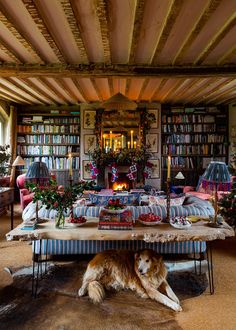 a dog is laying on the floor in front of a table with bookshelves