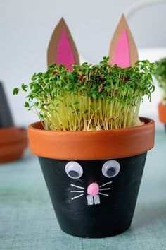 a potted plant with fake grass in the shape of ears on it's head