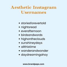 the words aestheticic instagramm usernames are written in orange and blue