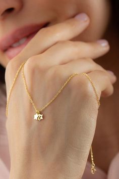 3 Stars 10k 14k 18k Solid Gold Necklace, Super Star Necklace, Small Stars Charm Pendant, Tiny Gold Star Necklace Set Perfect Gift for Her  FEATURES• Solid Gold (real gold, not gold plated or gold filled material)• Gold Karat: 10K (417) - 14K (585) - 18K (750) (optional)• Pendant Height: 0.19 Inches (0.49 cm) – For each star• Pendant Width: 0.20 Inches (0.51 cm) – For each star• Available Gold Color: Yellow gold, rose gold and white gold (optional)Wholesale requests are welcome.Our gold necklaces 14k Gold Jewelry With Star Charm For Anniversary, Anniversary 14k Gold Jewelry With Star Charm, 14k Gold Star Charm Jewelry, Gold Plated Star Charm Necklace Gift, Personalized Star-shaped Yellow Gold Jewelry, 14k Gold Star Necklace For Gift, Sterling Silver Star Charm Necklace In Yellow Gold, Yellow Gold Star Necklace Gift, Yellow Gold Sterling Silver Star Charm Necklace