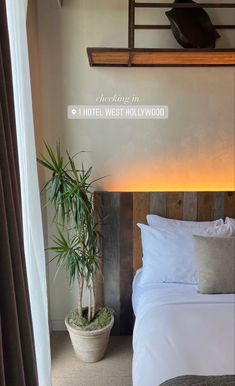 A picture of a hotel room with a bed that has white sheets and a tall plant in a pot. One Hotel West Hollywood, Staycation Picture Ideas, Hotel Ig Story Aesthetic, Hotel Stories Instagram, Hotel Pics Ideas, Hotel Instagram Post Ideas, Hotel Content Ideas Instagram