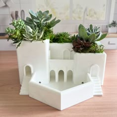 two white planters with succulents in them sitting on a wooden table