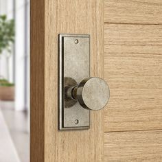 a door handle on a wooden door with a potted plant in the background