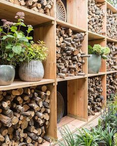 the shelves are filled with different types of plants and wood logs in pots on top of them