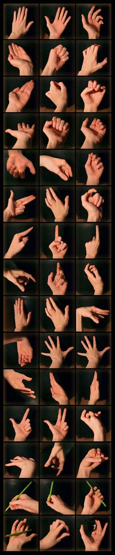 multiple images of hands and fingers with different gestures on each hand, all showing the same amount