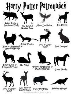 the silhouettes of harry potter's animals are shown in black and white, as well as their names