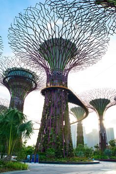 the giant trees in gardens by the bay are covered with purple and green foliages