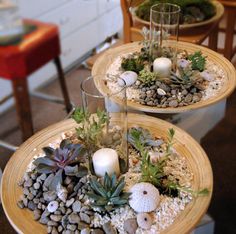 two plates with succulents, rocks and candles on them sitting on a table