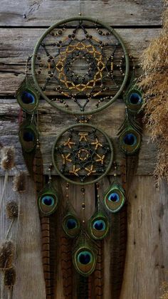 an image of a peacock dream catcher hanging on a wooden wall with feathers and beads