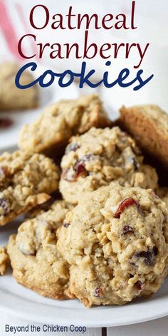 oatmeal cranberry cookies on a white plate with text overlay